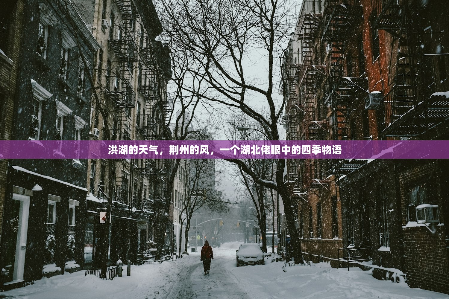 洪湖的天气，荆州的风，一个湖北佬眼中的四季物语