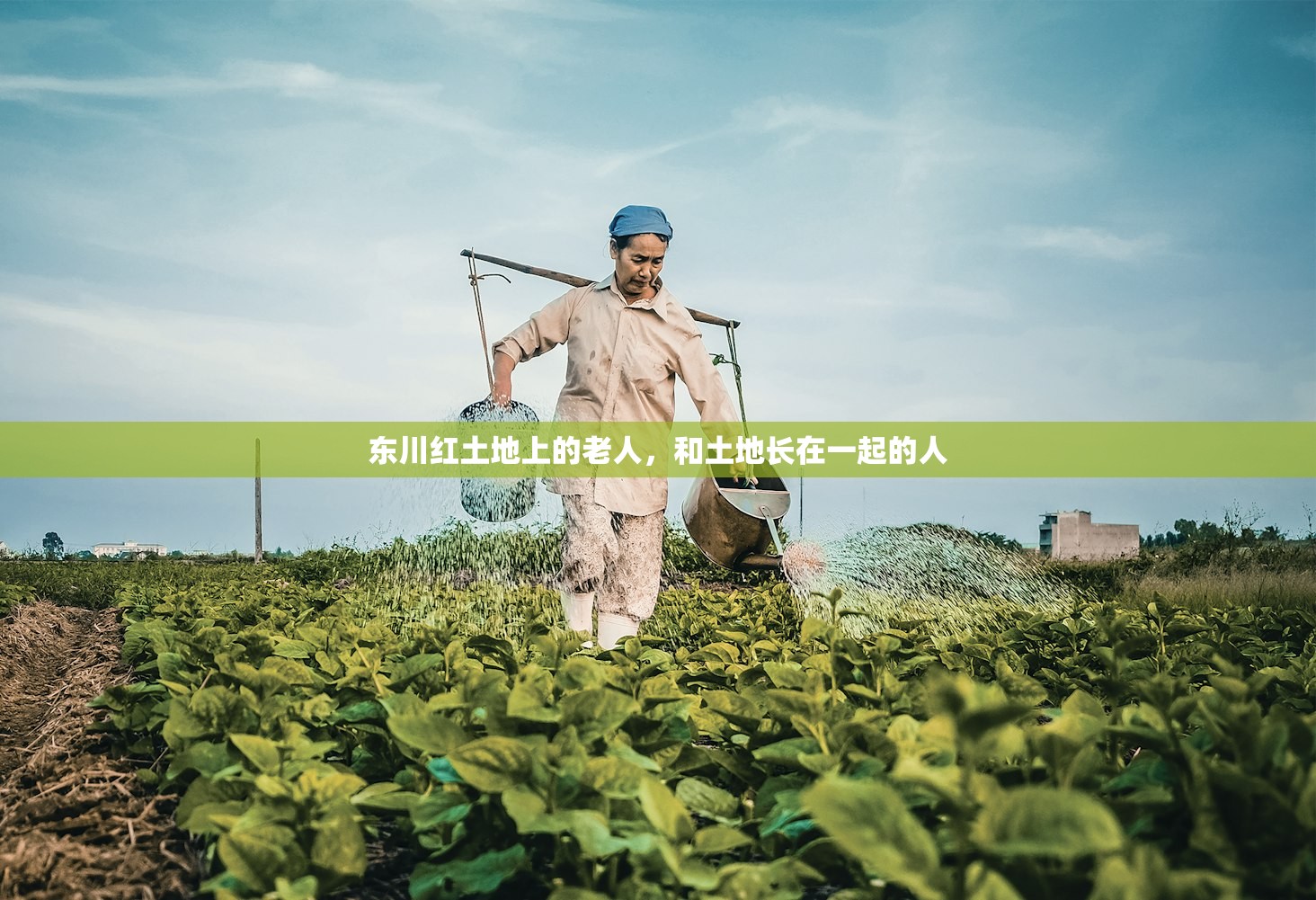 东川红土地上的老人，和土地长在一起的人