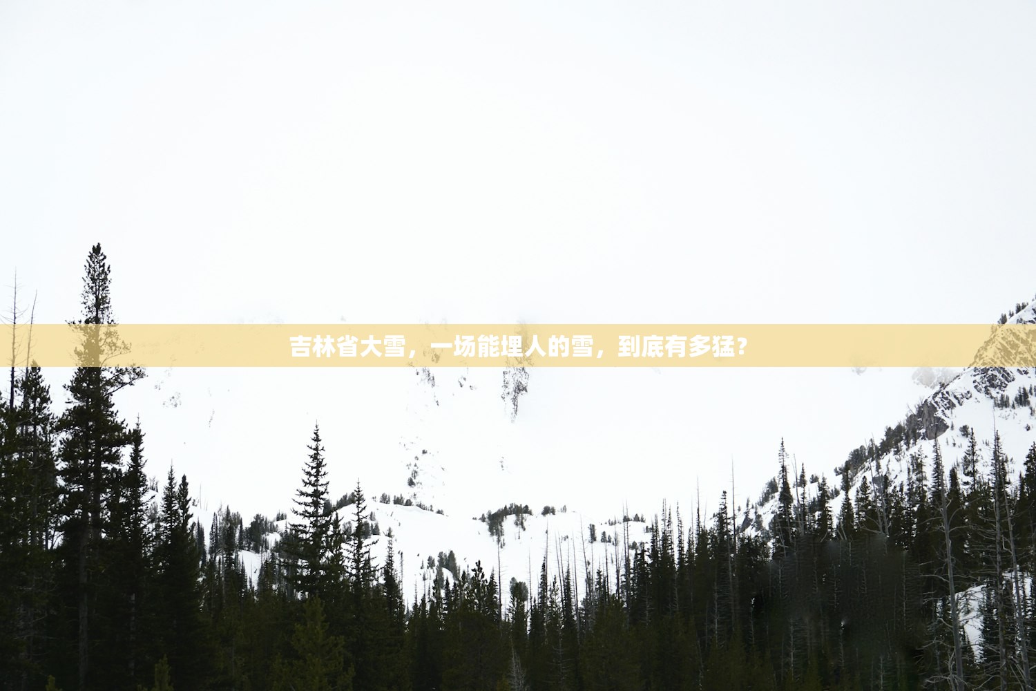 吉林省大雪，一场能埋人的雪，到底有多猛？