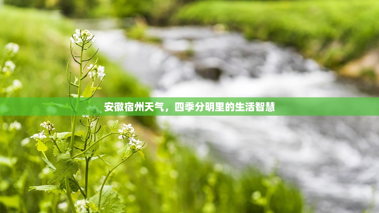 安徽宿州天气，四季分明里的生活智慧
