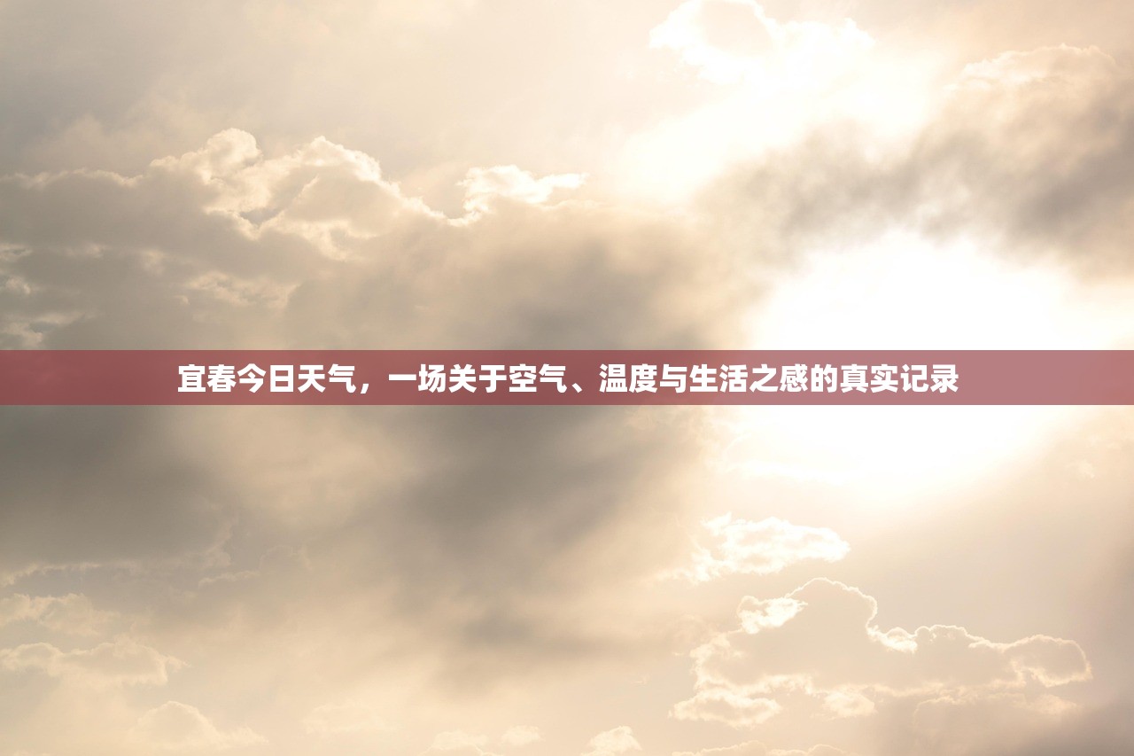 宜春今日天气,一场关于空气、温度与生活之感的真实记录 宜春今日天气,一场关于空气、温度与生活之感的真实记录