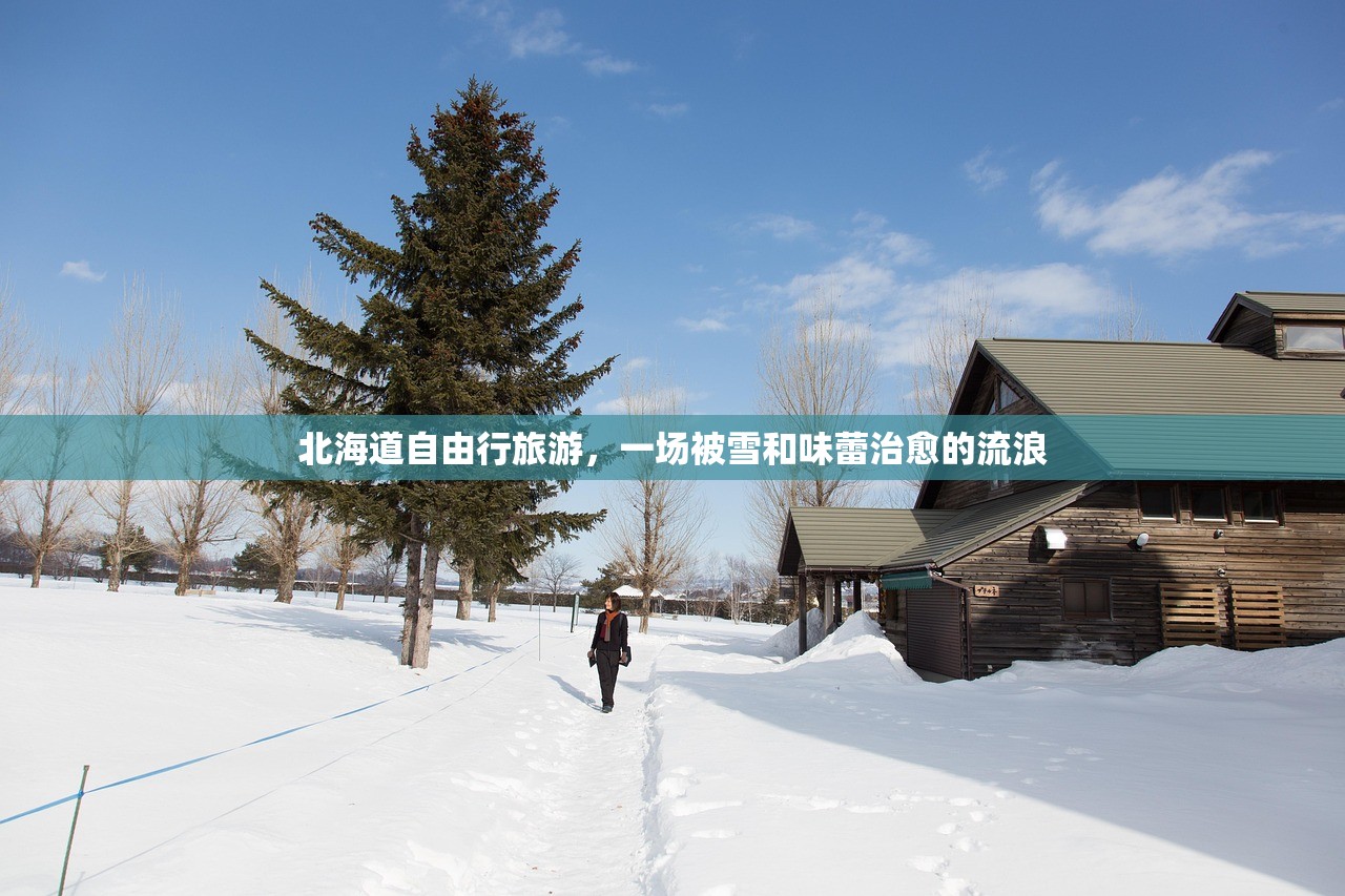 北海道自由行旅游，一场被雪和味蕾治愈的流浪