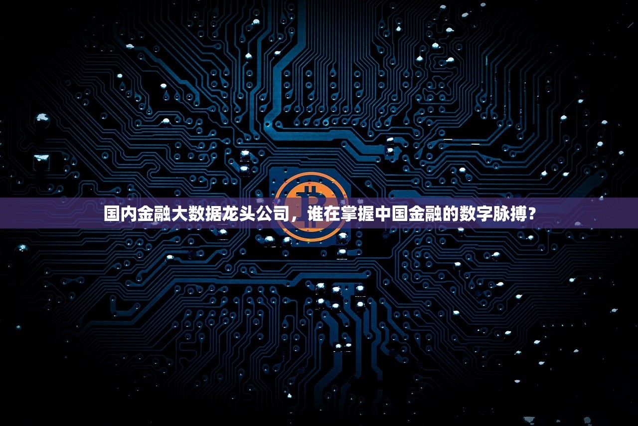 国内金融大数据龙头公司，谁在掌握中国金融的数字脉搏？