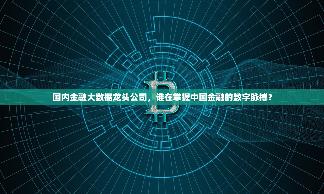 国内金融大数据龙头公司，谁在掌握中国金融的数字脉搏？