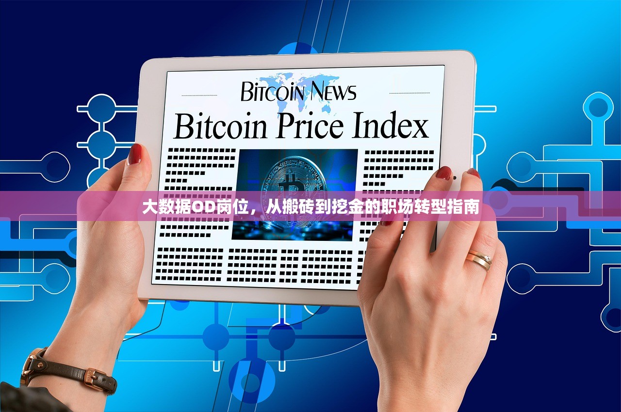 大数据OD岗位，从搬砖到挖金的职场转型指南