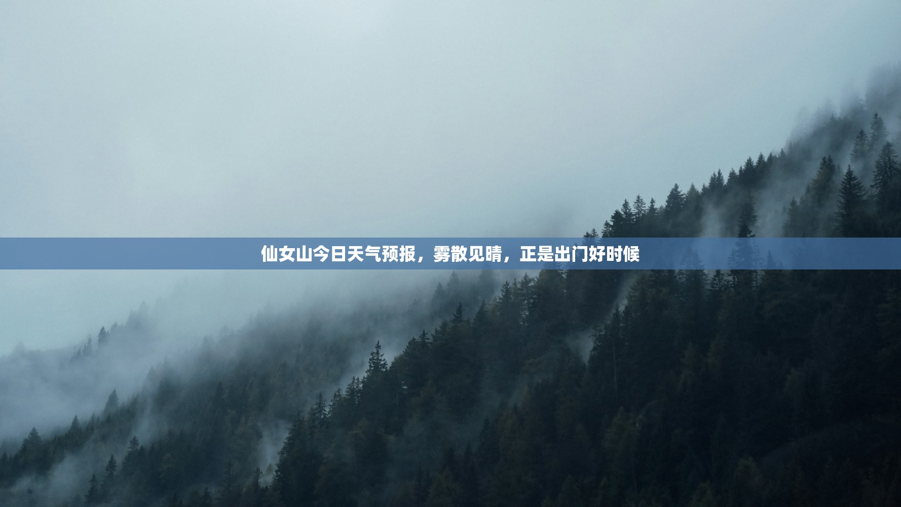 仙女山今日天气预报,雾散见晴,正是出门好时候 仙女山今日天气预报,雾散见晴,正是出门好时候
