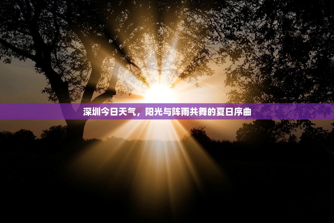 深圳今日天气，阳光与阵雨共舞的夏日序曲