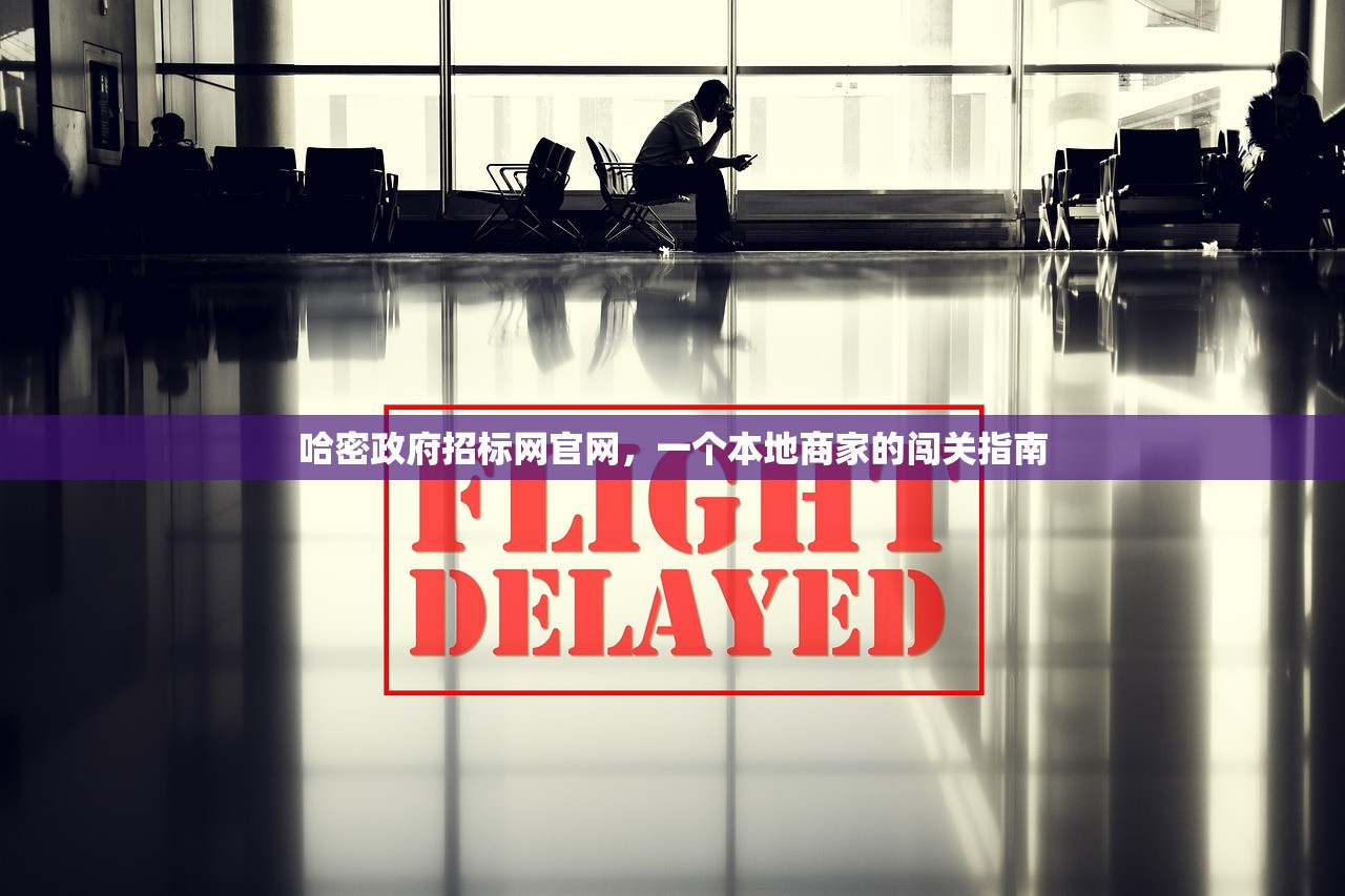 哈密政府招标网官网，一个本地商家的闯关指南