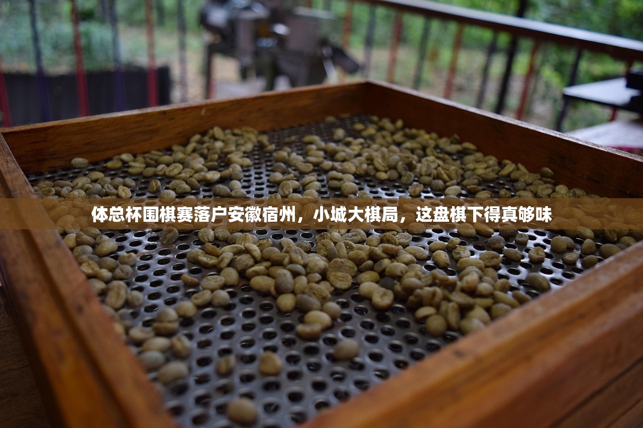 体总杯围棋赛落户安徽宿州,小城大棋局,这盘棋下得真够味 体总杯围棋赛落户安徽宿州,小城大棋局,这盘棋下得真够味