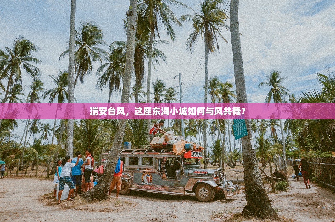 瑞安台风，这座东海小城如何与风共舞？