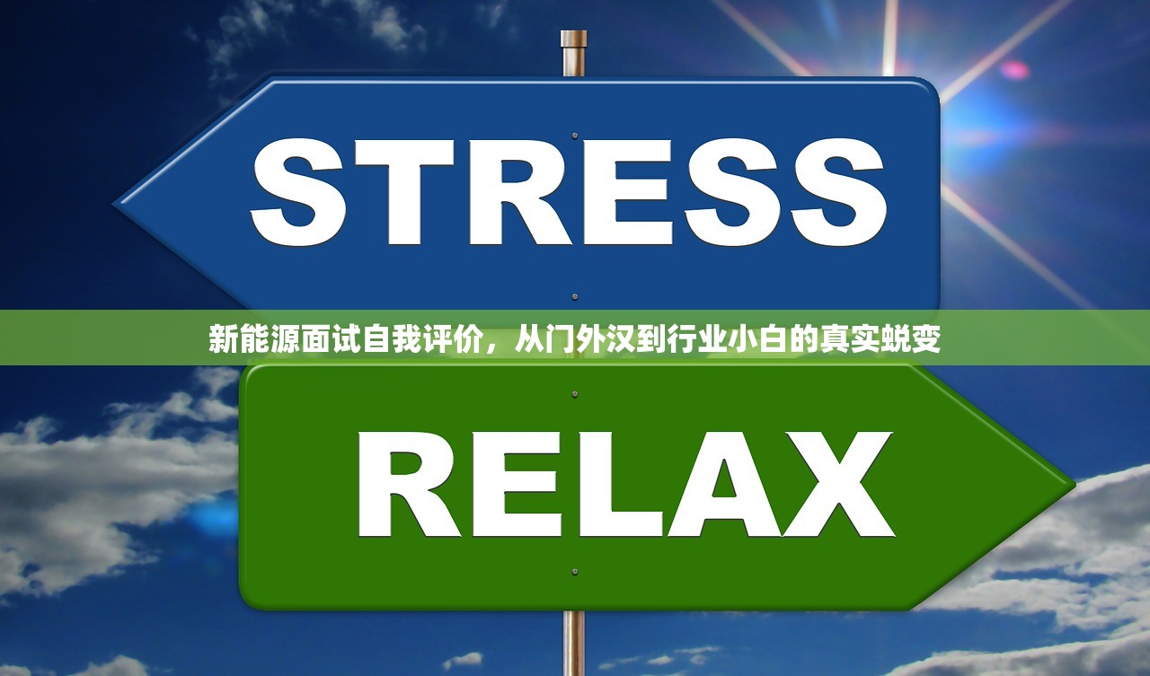 新能源面试自我评价，从门外汉到行业小白的真实蜕变