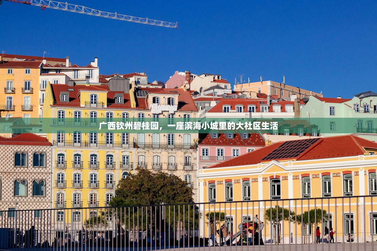 广西钦州碧桂园，一座滨海小城里的大社区生活