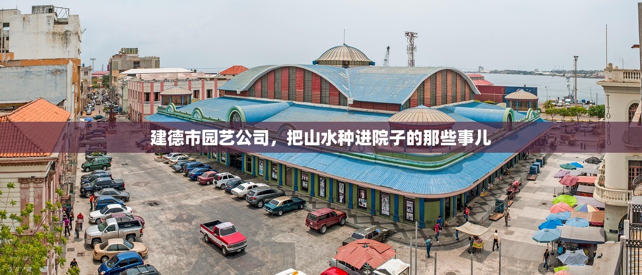 建德市园艺公司，把山水种进院子的那些事儿