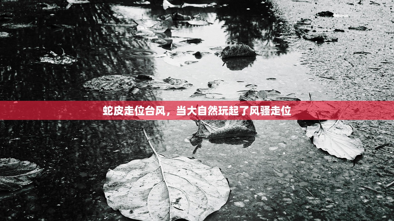 蛇皮走位台风，当大自然玩起了风骚走位