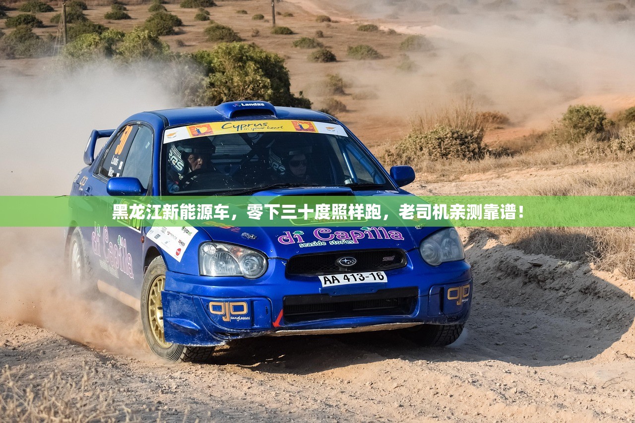 黑龙江新能源车，零下三十度照样跑，老司机亲测靠谱！