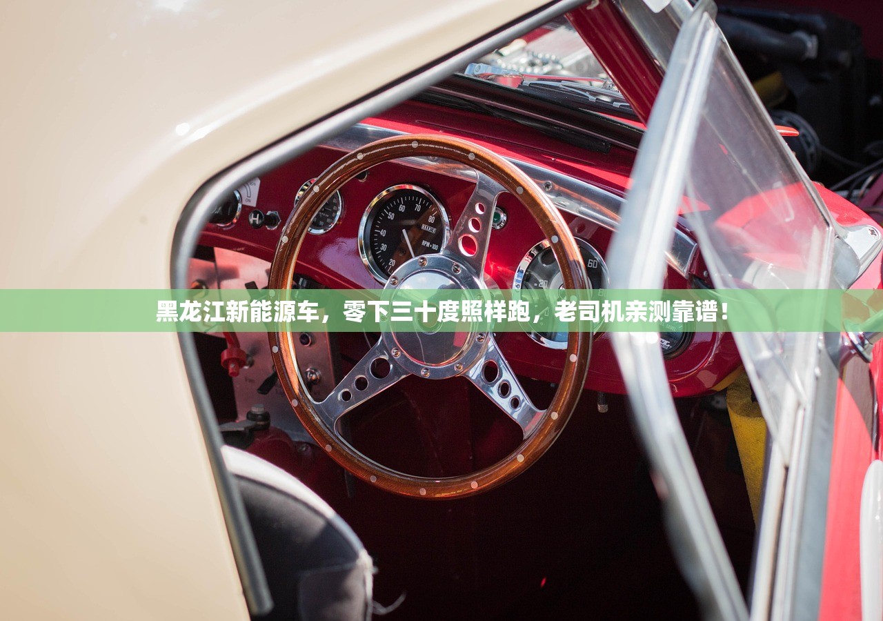 黑龙江新能源车，零下三十度照样跑，老司机亲测靠谱！