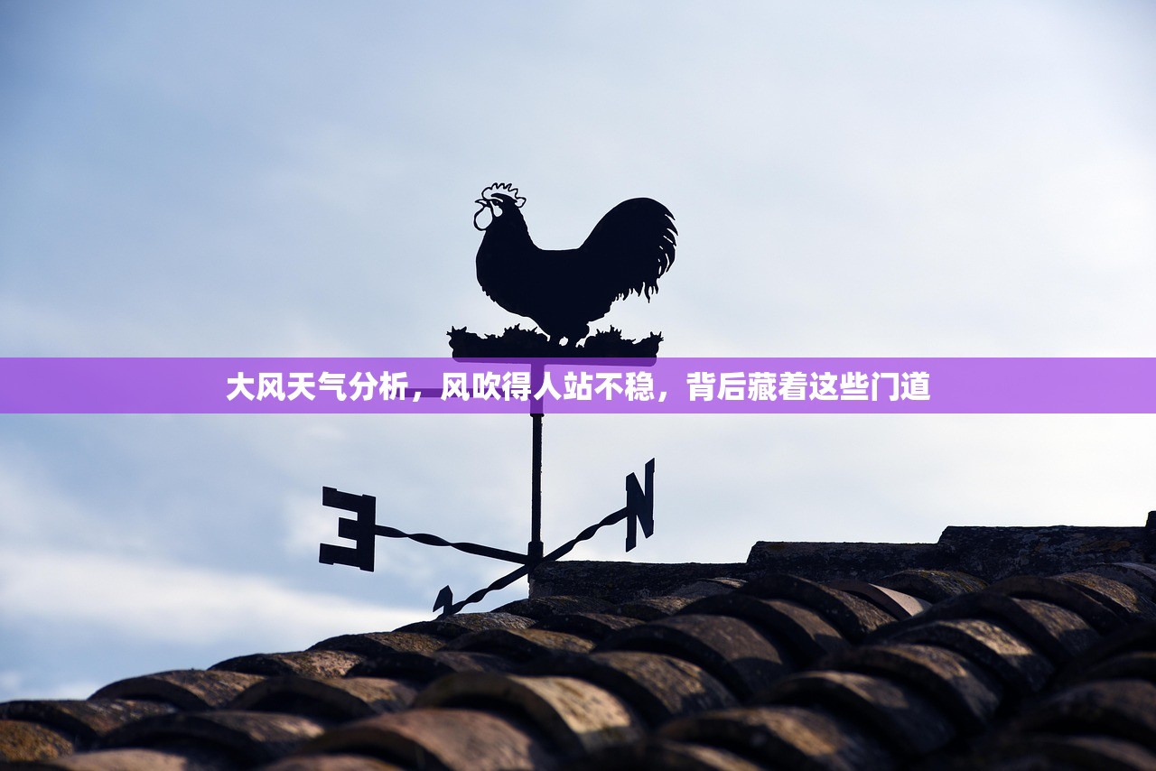大风天气分析，风吹得人站不稳，背后藏着这些门道