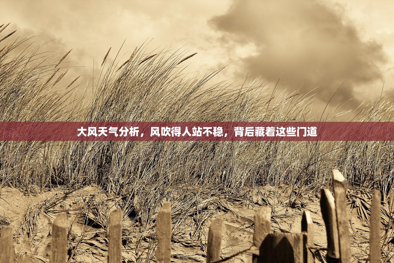 大风天气分析，风吹得人站不稳，背后藏着这些门道