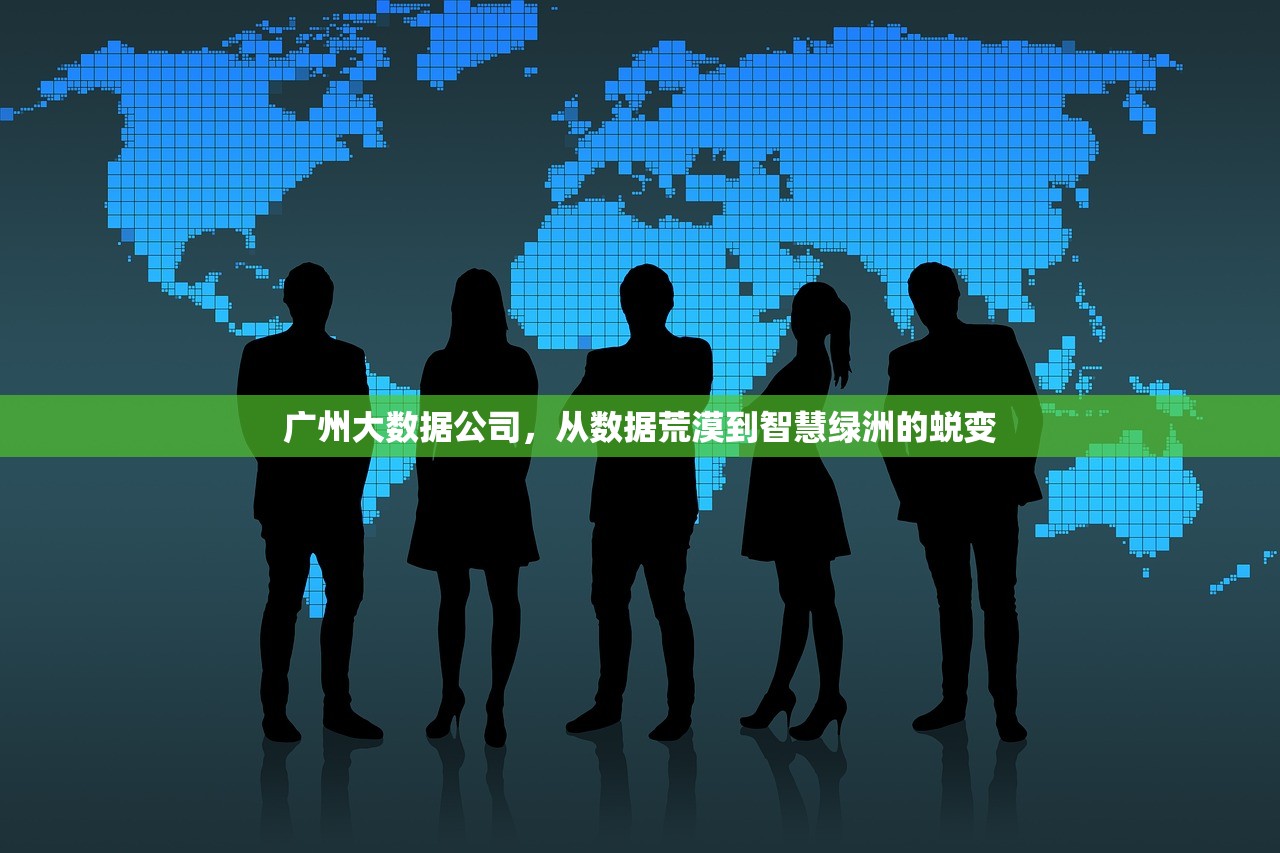 广州大数据公司，从数据荒漠到智慧绿洲的蜕变