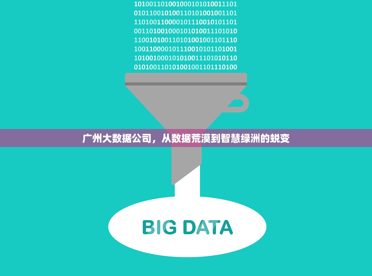 广州大数据公司，从数据荒漠到智慧绿洲的蜕变